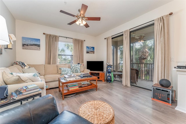 living room with ceiling fan and light wood-type flooring