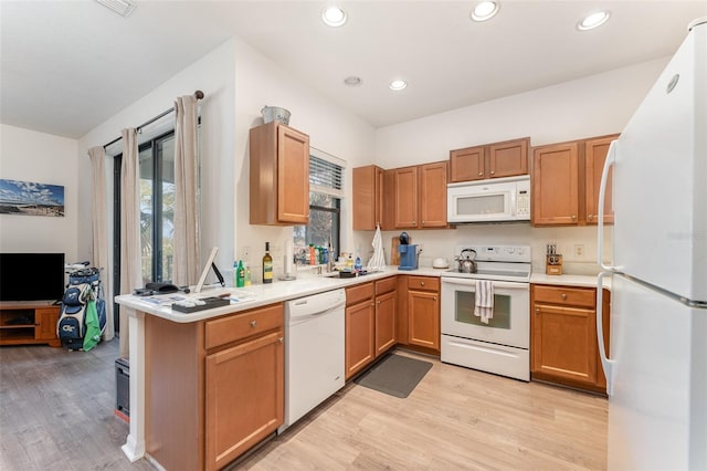 kitchen with plenty of natural light, light wood-type flooring, sink, and white appliances