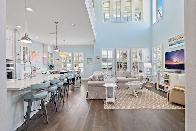 living room featuring sink, a towering ceiling, ornamental molding, and dark hardwood / wood-style floors