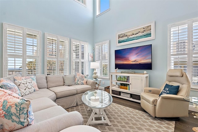 living room with hardwood / wood-style flooring and a high ceiling