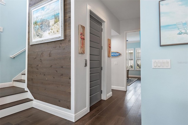 hall with dark hardwood / wood-style floors and wood walls