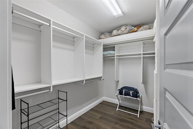 spacious closet featuring dark hardwood / wood-style flooring