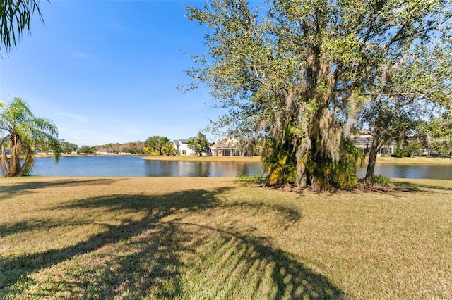 view of yard with a water view