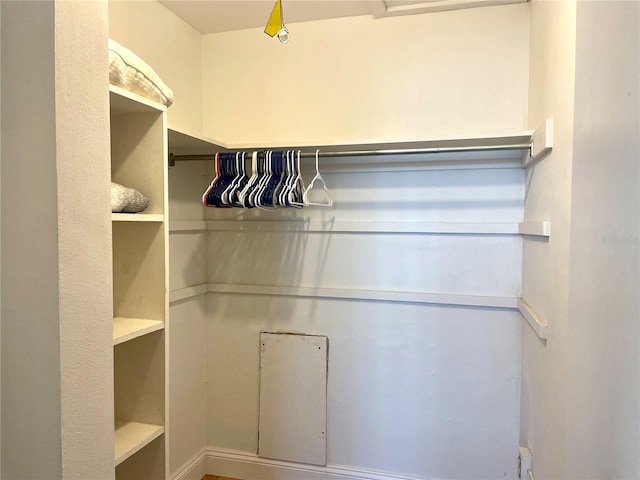 view of walk in closet