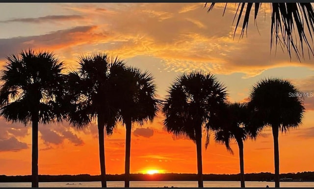 nature at dusk featuring a water view