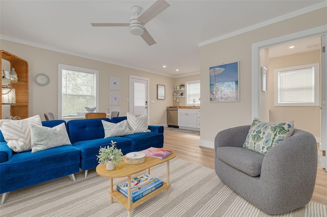 living room featuring sink, crown molding, light hardwood / wood-style floors, and ceiling fan