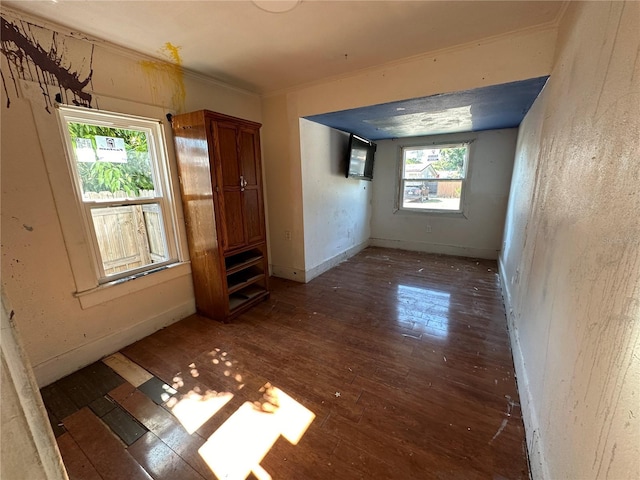 interior space featuring dark hardwood / wood-style flooring