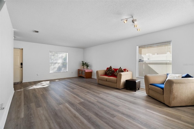 living room featuring wood-type flooring and a textured ceiling