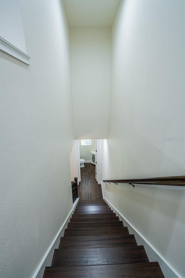 stairway with wood-type flooring