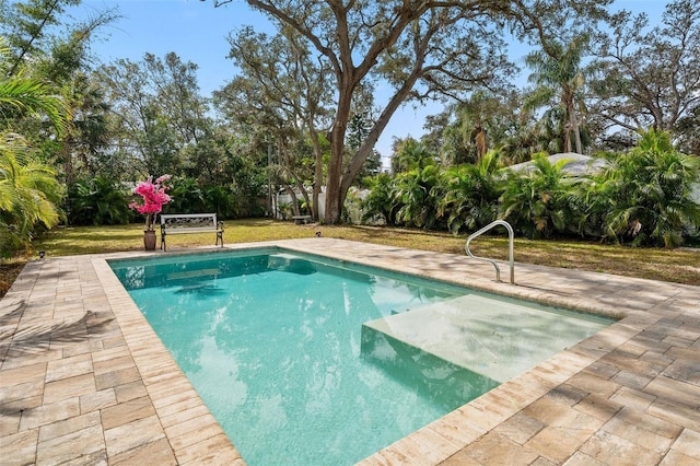 view of pool featuring a patio area