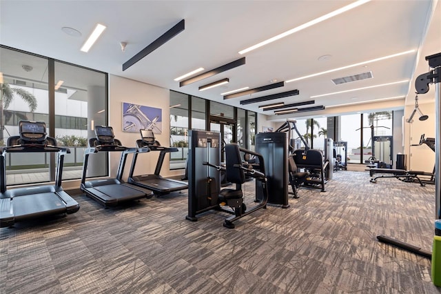 exercise room with floor to ceiling windows and carpet flooring