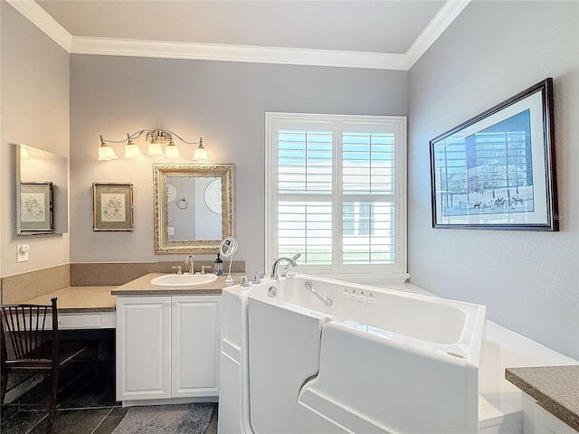 bathroom featuring vanity, ornamental molding, and a bathing tub