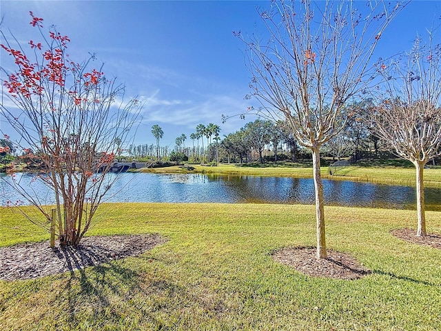 property view of water