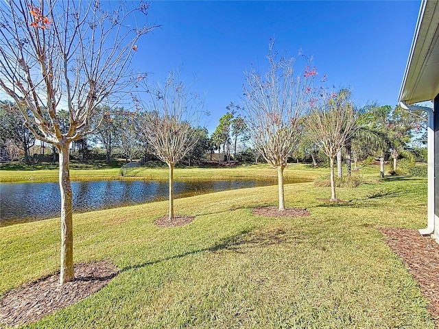 view of yard featuring a water view