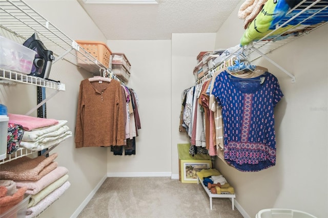 spacious closet with light carpet