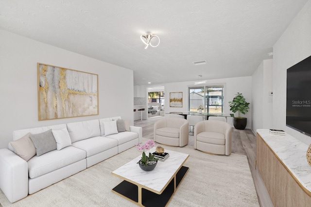 living room with light hardwood / wood-style flooring and a textured ceiling