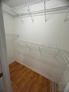 spacious closet featuring wood-type flooring