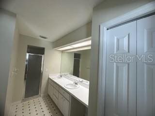 bathroom featuring vanity and a shower with shower door