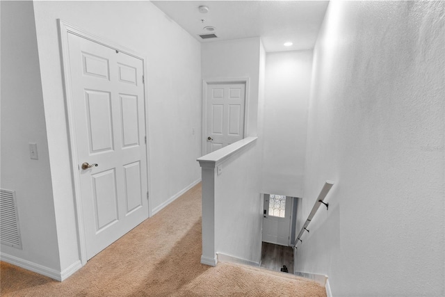 staircase featuring carpet floors