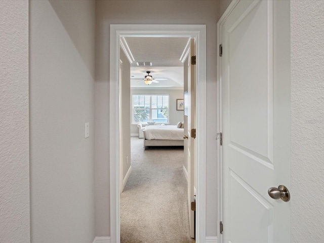 hall featuring a textured ceiling and carpet flooring