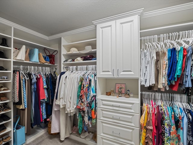 spacious closet with light carpet