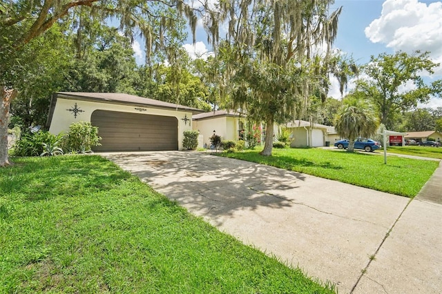 ranch-style house featuring a front lawn