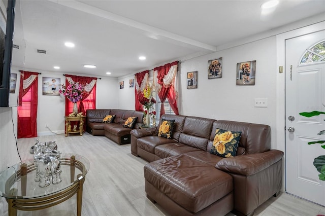 living room featuring light hardwood / wood-style floors