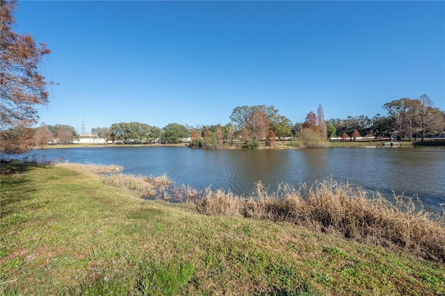 property view of water