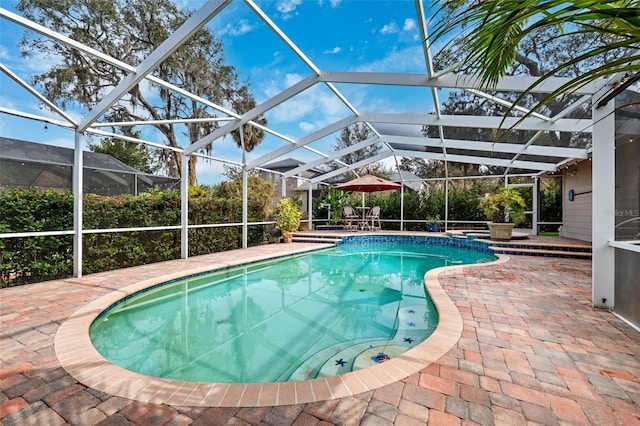 view of swimming pool featuring a lanai and a patio area