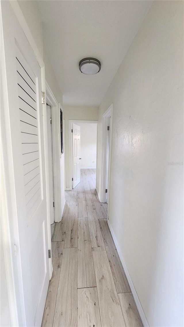 corridor featuring light hardwood / wood-style floors