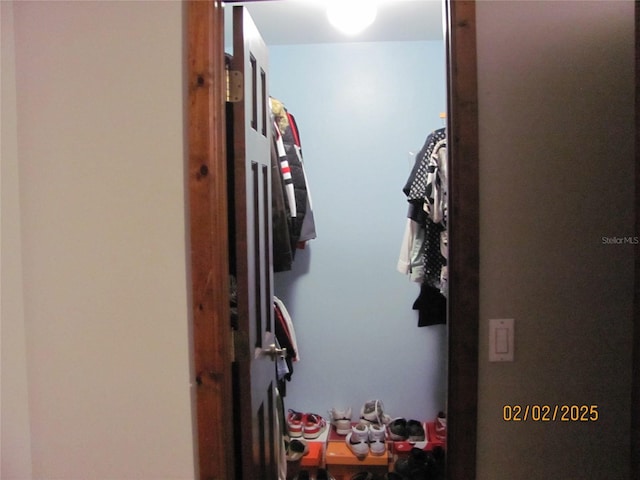 view of spacious closet