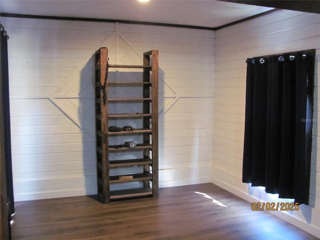 interior space featuring dark wood-type flooring and wood walls