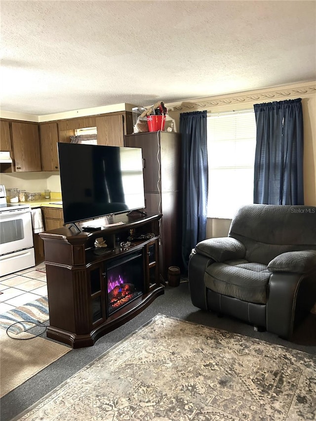 living area featuring a textured ceiling and a glass covered fireplace