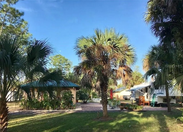 view of yard featuring a patio area