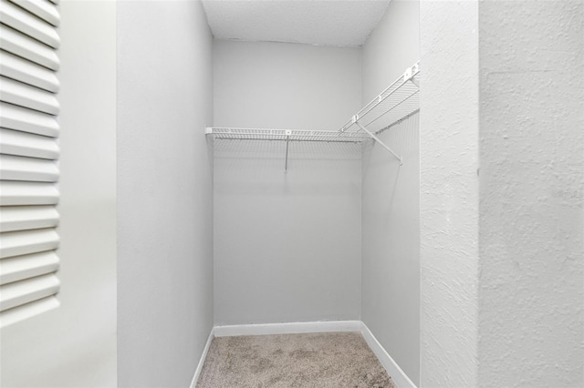 walk in closet with light carpet