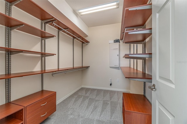 spacious closet with light colored carpet