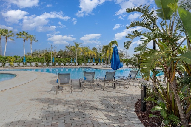 view of pool featuring a patio area