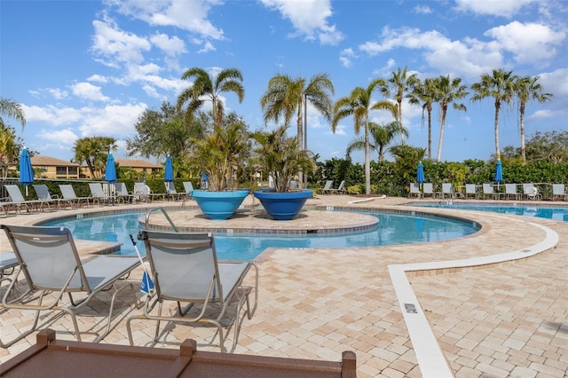 view of swimming pool featuring a patio