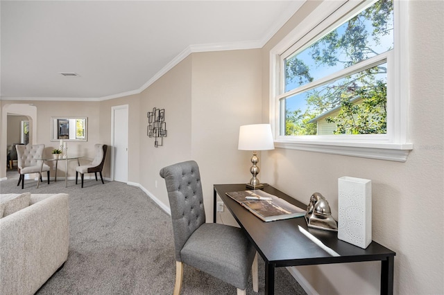 carpeted office space featuring crown molding