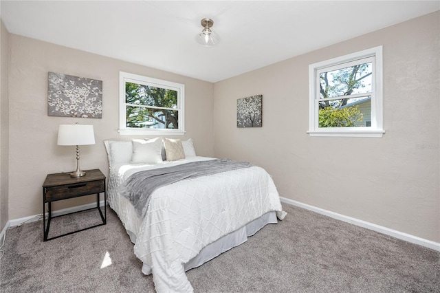 carpeted bedroom with multiple windows