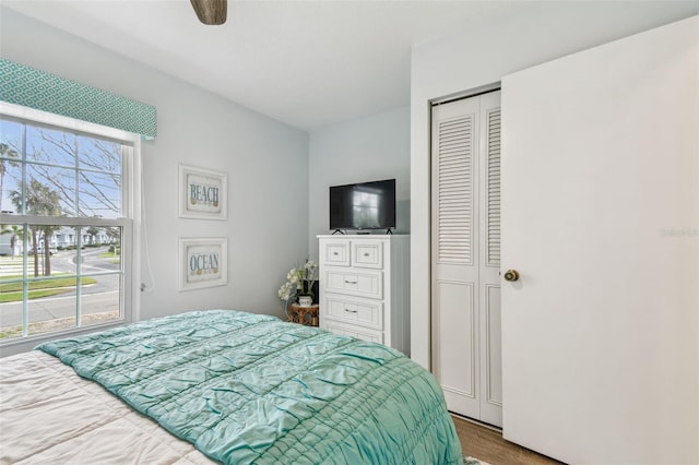 bedroom with wood-type flooring, a closet, and ceiling fan