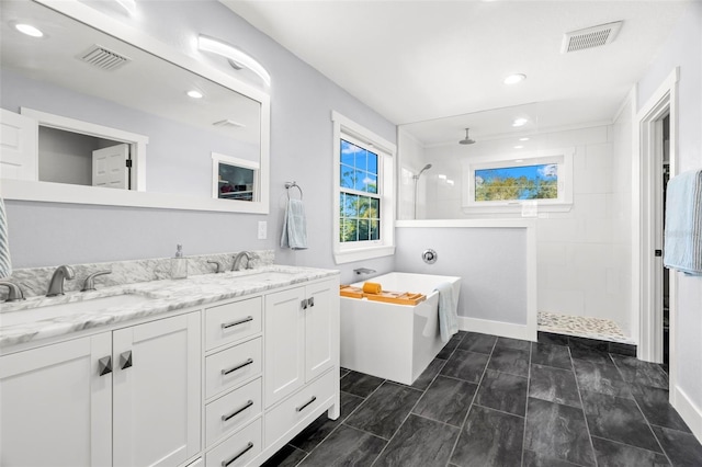 bathroom with vanity and plus walk in shower