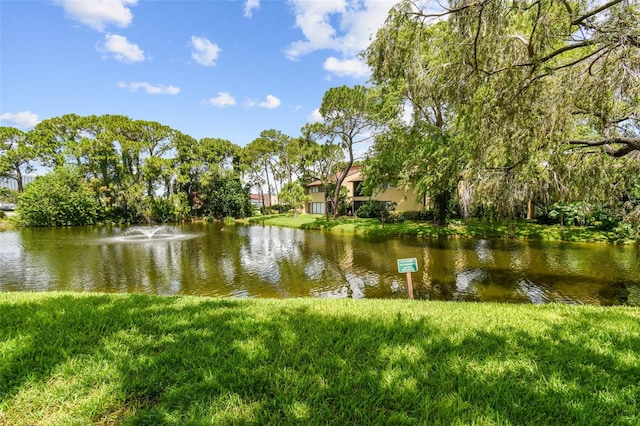 880 S Village Lake Dr N Unit 106, Saint Petersburg, FL 33716 - water view