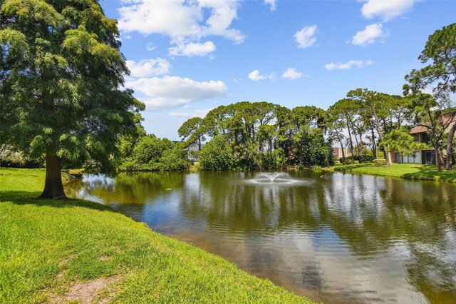 880 S Village Lake Dr N Unit 106, Saint Petersburg, FL 33716 - property view of water