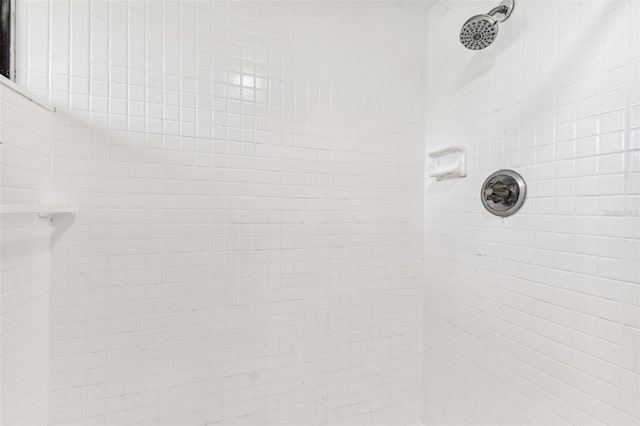 880 S Village Lake Dr N Unit 106, Saint Petersburg, FL 33716 - details featuring tiled shower