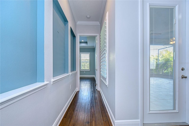 hall with crown molding and dark hardwood / wood-style floors