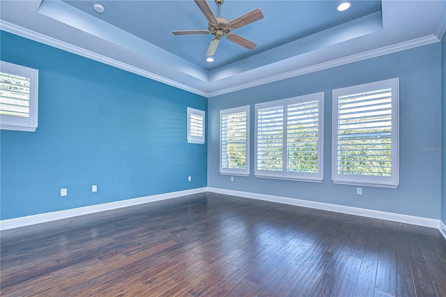 unfurnished room featuring a wealth of natural light and a raised ceiling