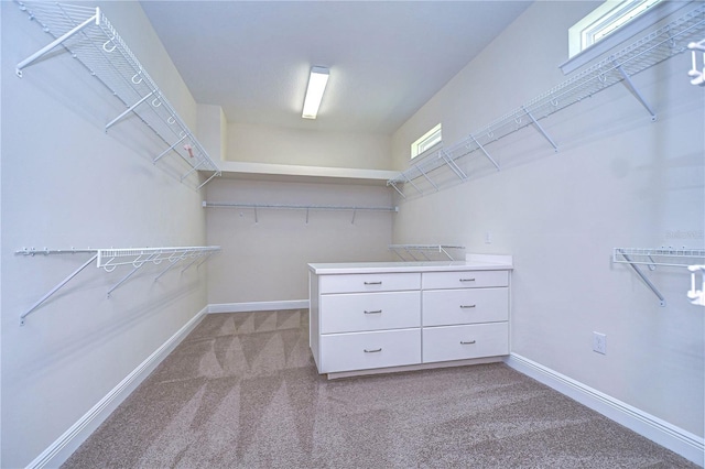 walk in closet featuring light colored carpet