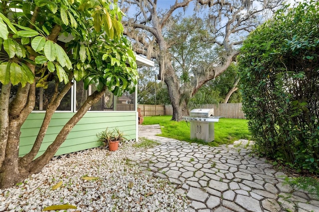 view of yard with a patio