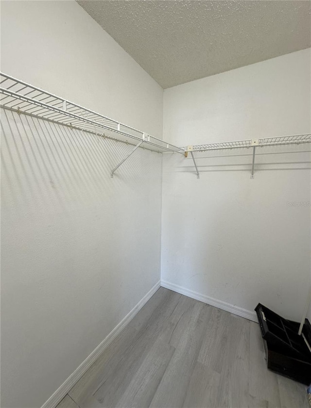 spacious closet featuring light hardwood / wood-style floors